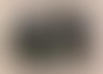 Nature morte au crane (preview)
