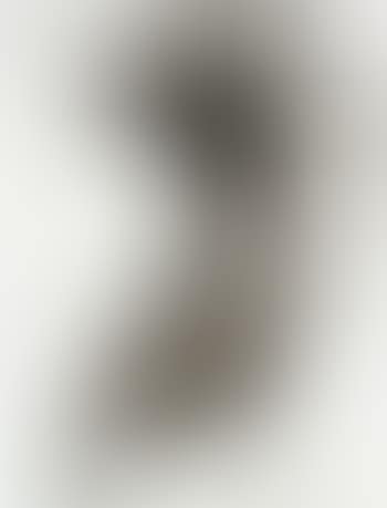 Selected images from chicken parts (preview)