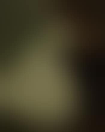 Portrait of Alice Carey (preview)