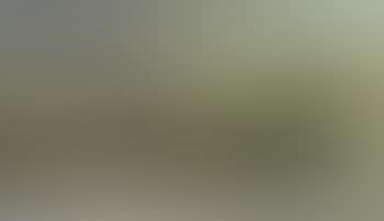 Two horses grazing in a desert landscape (preview)