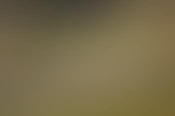 Landscape - Study of a pond. Study of a mountainous landscape (preview)