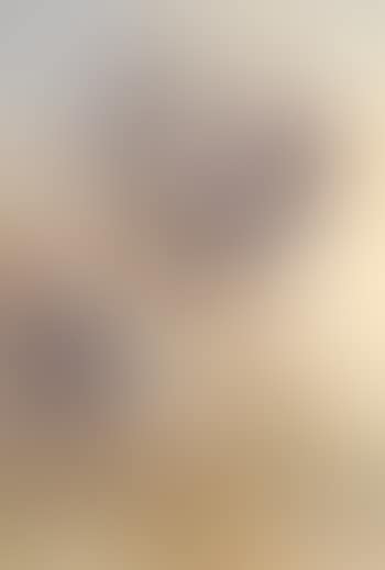 Prairie Waltz. Bucking Bronco (preview)