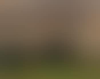 Suffolk landscape (preview)
