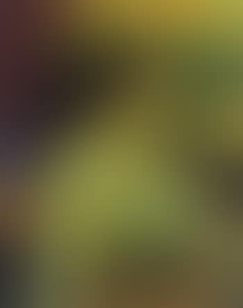 Autoportrait (preview)