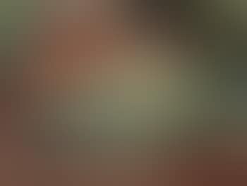 Nature morte (preview)