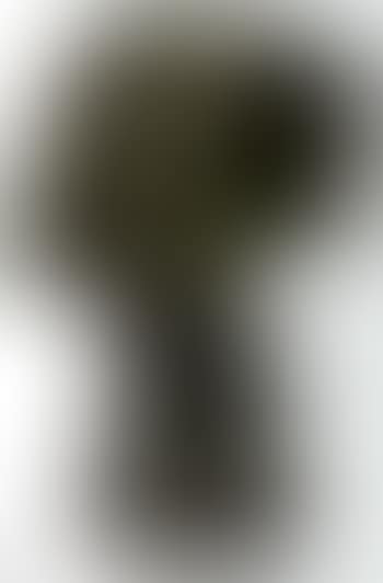 Tete de Balzac (preview)