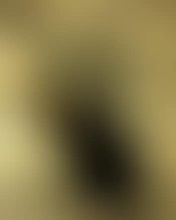 Cimabue (preview)