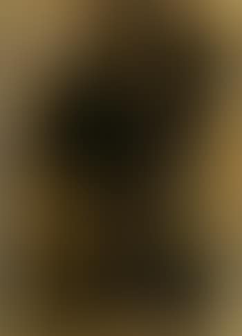 Composition (preview)