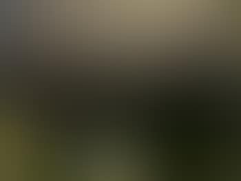 Truite (preview)