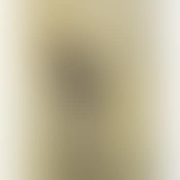 Blenheim groom cinching a girth (preview)