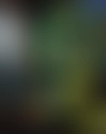 Window overseeing green (preview)