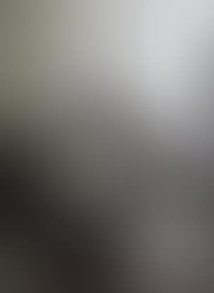 Abstract (preview)