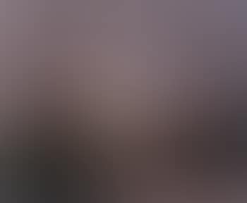 Moor landscape in evening (preview)