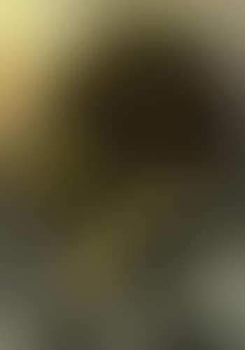 Carrier (preview)