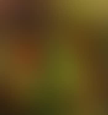 Green muscles (preview)