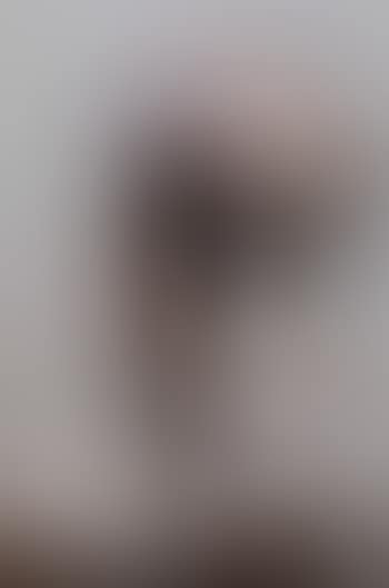 Paponide (preview)