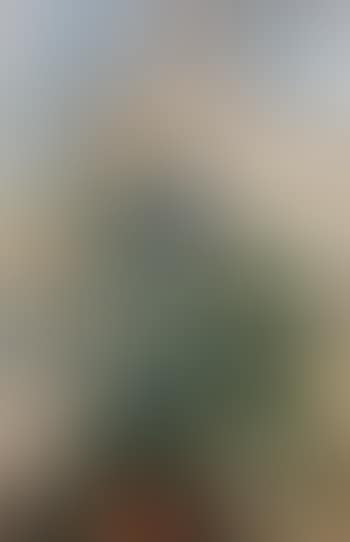 Achmea plant (preview)