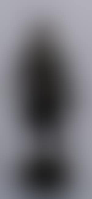 Gustav Vasa (preview)