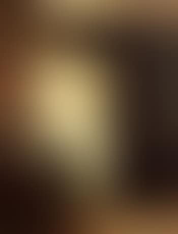 Interior scene with woman reading (preview)