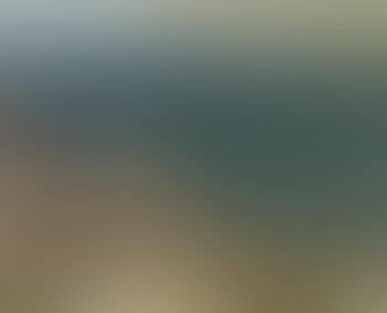 Baie de Tunis (preview)