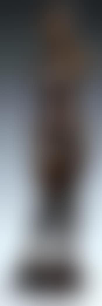 Venus (preview)