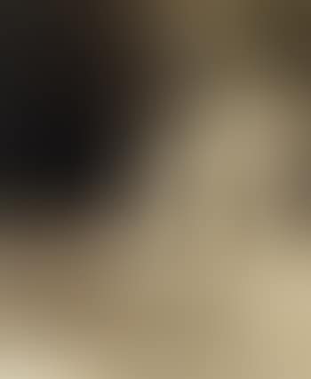 Versailles (preview)