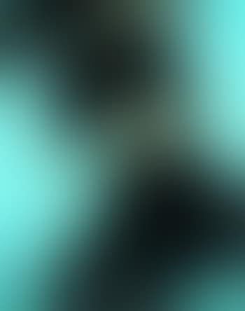 T 1985 H12 (preview)