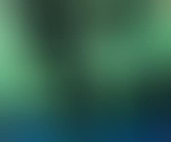 Still life (preview)