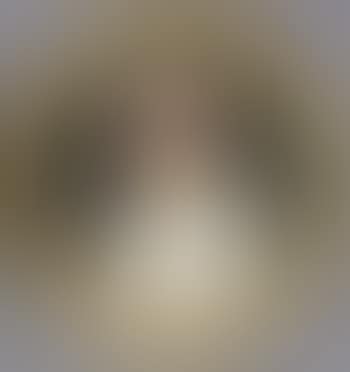 Francesco, King of the two Sicilies, in white coat yellow collar (preview)