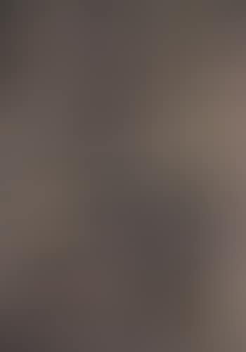 Surface 43 (preview)