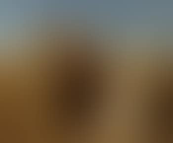 Boaz and Ruth (preview)