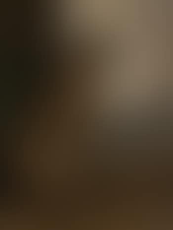 Countess, a deerhound (preview)