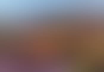 Landscape, Koster (preview)