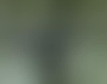 Willow twigs in vase (preview)