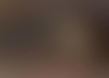 Tete de cheval en profil (preview)
