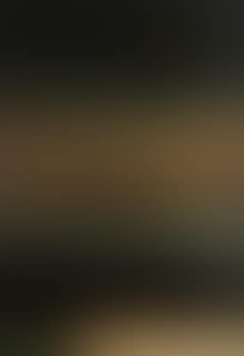View of Constantinople from the east (preview)