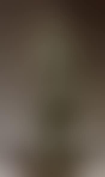 Arlequin (preview)