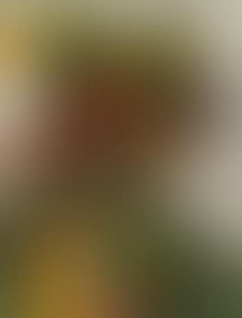 Tete (preview)