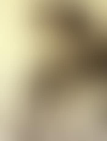 Bust length portrait of a gentleman (preview)