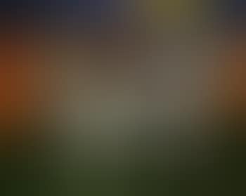 La vache (preview)