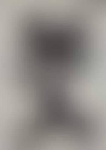 Figure (preview)