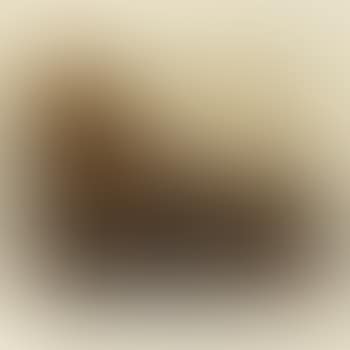 View of Antwerp. View of harbour (preview)