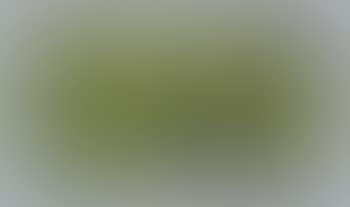 Study for landscape (preview)