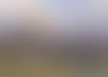 Horses running in southern landscape (preview)