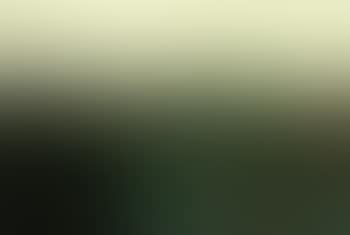 Spring landscape (preview)