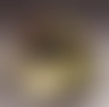 Abbadabba alobar (preview)
