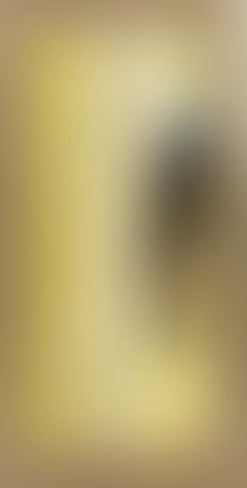 Composition (preview)