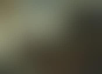 Classical landscape with statues (preview)