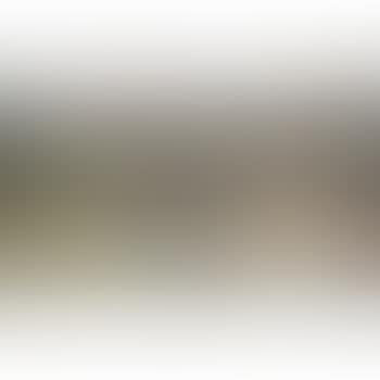 Landscapes (preview)