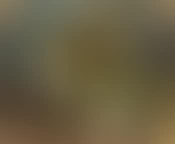Chrysanthemes (preview)